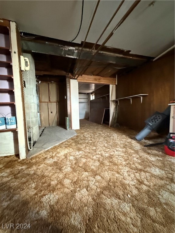 basement featuring wood walls