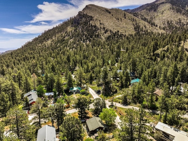 birds eye view of property with a mountain view