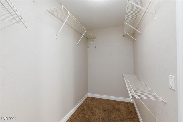 spacious closet featuring carpet floors