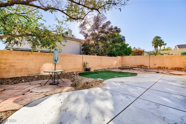 view of yard with a patio