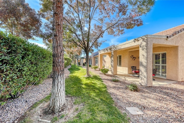 view of yard featuring a patio area