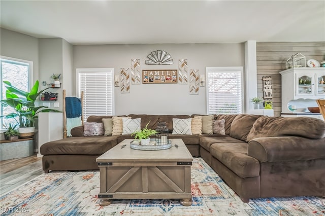 living room with light wood-type flooring