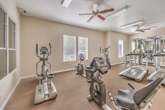 exercise room featuring a wealth of natural light and ceiling fan