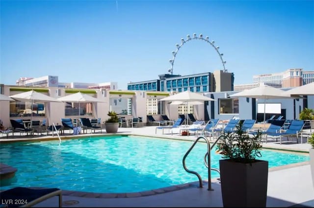 view of swimming pool featuring a patio area