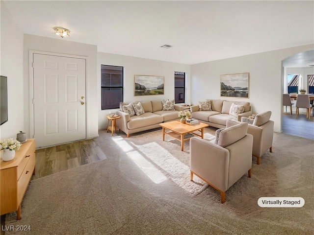 living room featuring wood-type flooring