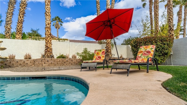 view of swimming pool featuring a patio