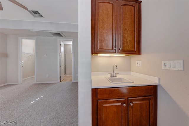 kitchen featuring light carpet and sink