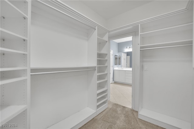 spacious closet featuring carpet floors