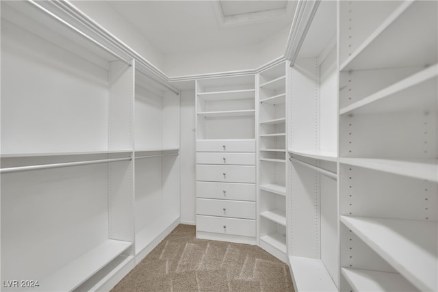 walk in closet featuring light carpet