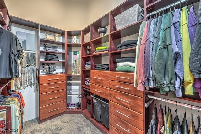 spacious closet with carpet floors