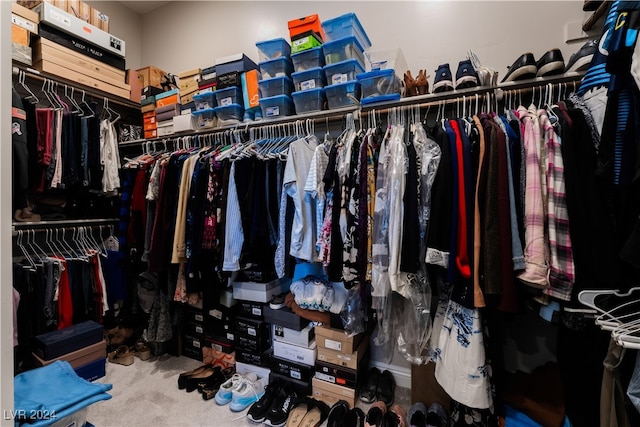 walk in closet featuring carpet flooring