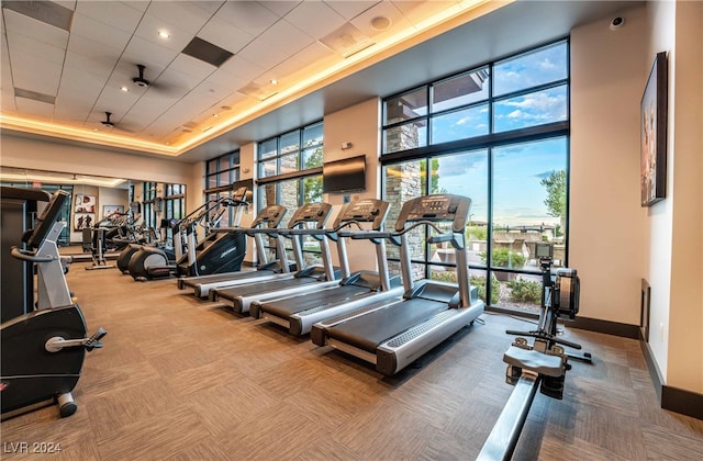 workout area with carpet, plenty of natural light, a raised ceiling, and a towering ceiling