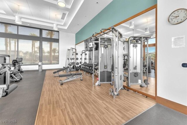 exercise room with ceiling fan, a raised ceiling, and hardwood / wood-style floors