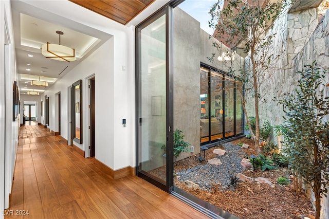 hallway featuring hardwood / wood-style flooring, plenty of natural light, and a tray ceiling