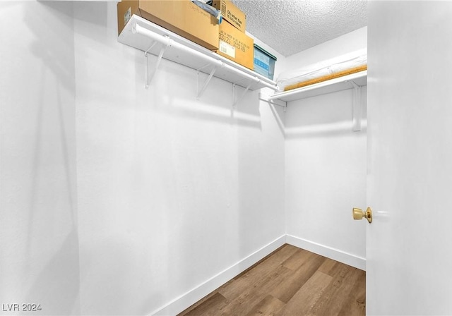 walk in closet with hardwood / wood-style floors