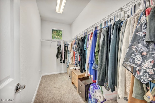 spacious closet featuring light colored carpet