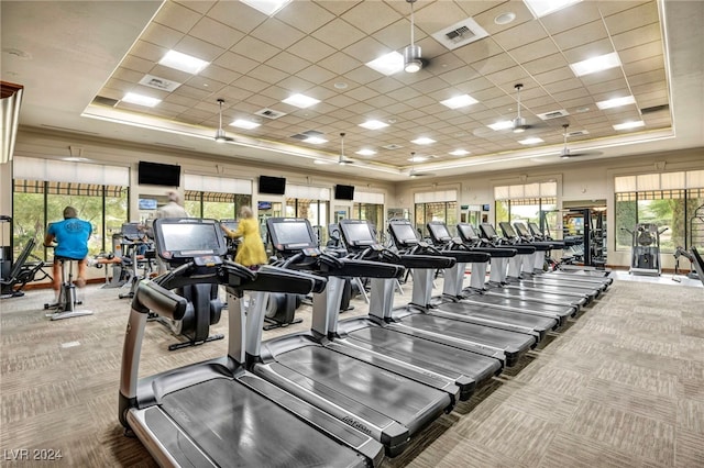 gym with a tray ceiling, a paneled ceiling, ceiling fan, and carpet