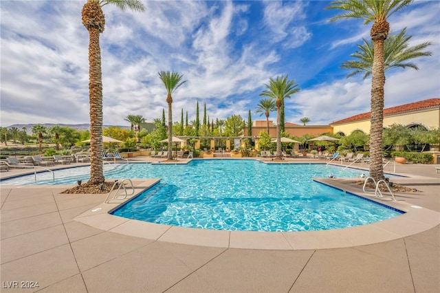 view of swimming pool featuring a patio area