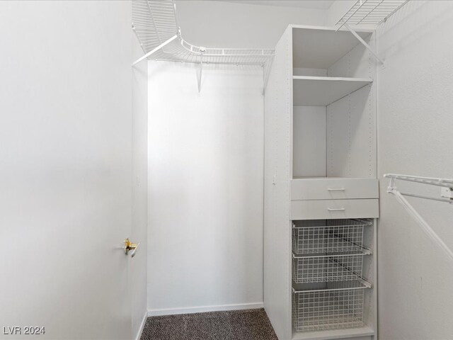 spacious closet with carpet flooring