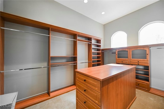 spacious closet with light carpet