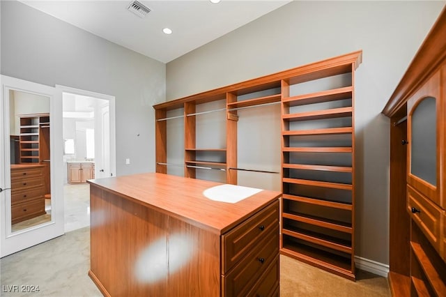 spacious closet with light carpet