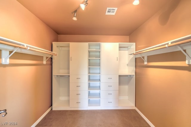 walk in closet featuring carpet