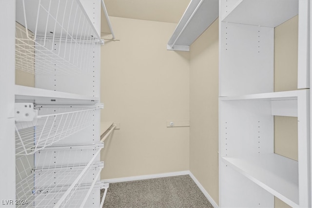 walk in closet with carpet floors