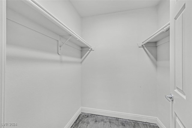 walk in closet with hardwood / wood-style flooring