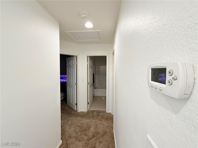 hallway with carpet floors