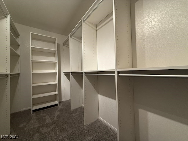 spacious closet with dark colored carpet