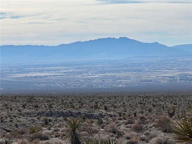2381 E Mazzuka Ave, Pahrump, NV 89060 - photo 2