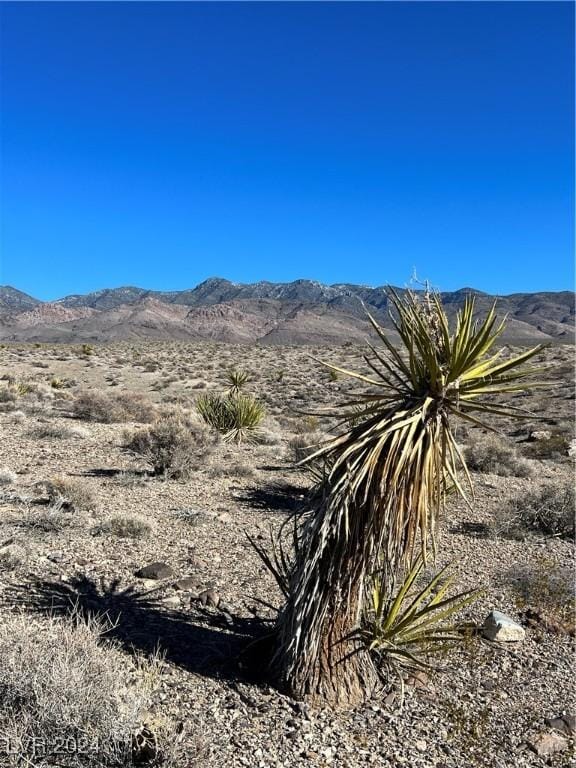 2381 E Mazzuka Ave, Pahrump, NV 89060 - photo 3