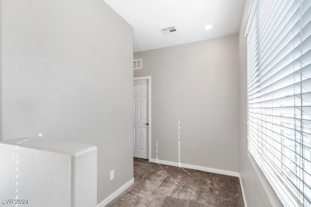 empty room with carpet flooring and plenty of natural light