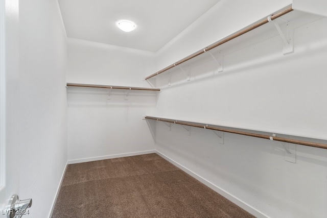 spacious closet featuring carpet