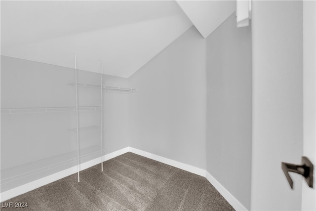 walk in closet with carpet floors and lofted ceiling