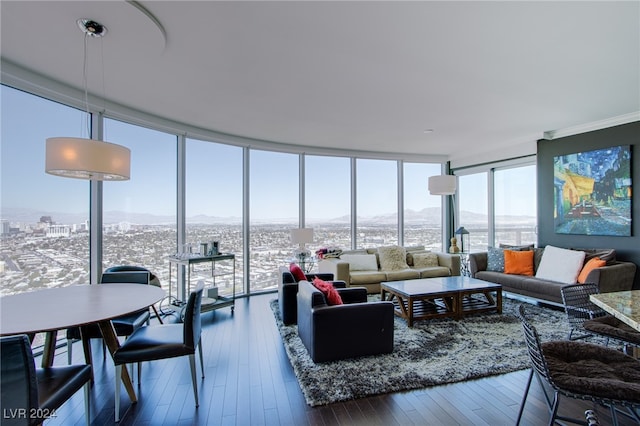 living room featuring dark hardwood / wood-style flooring and a wall of windows