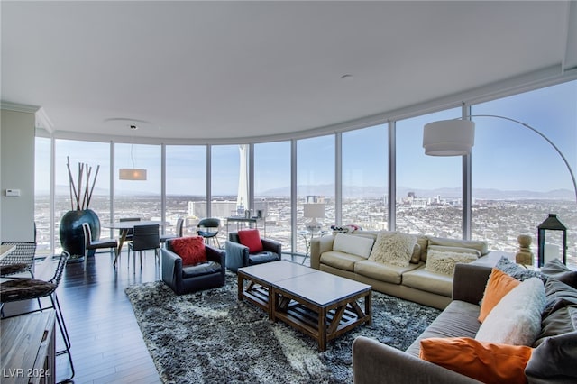 living room featuring plenty of natural light, expansive windows, and dark wood-type flooring