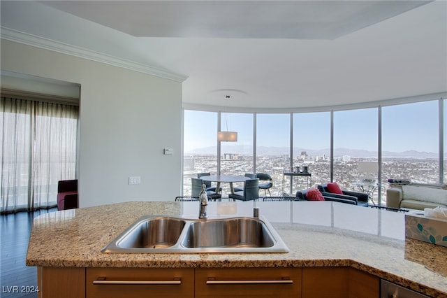 kitchen with a wealth of natural light, sink, light stone countertops, and hardwood / wood-style flooring