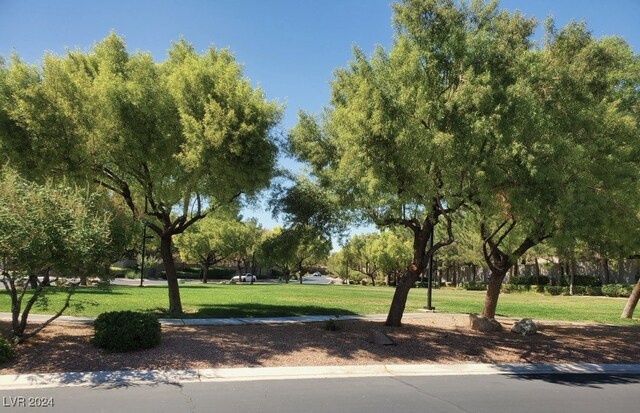 surrounding community featuring a lawn