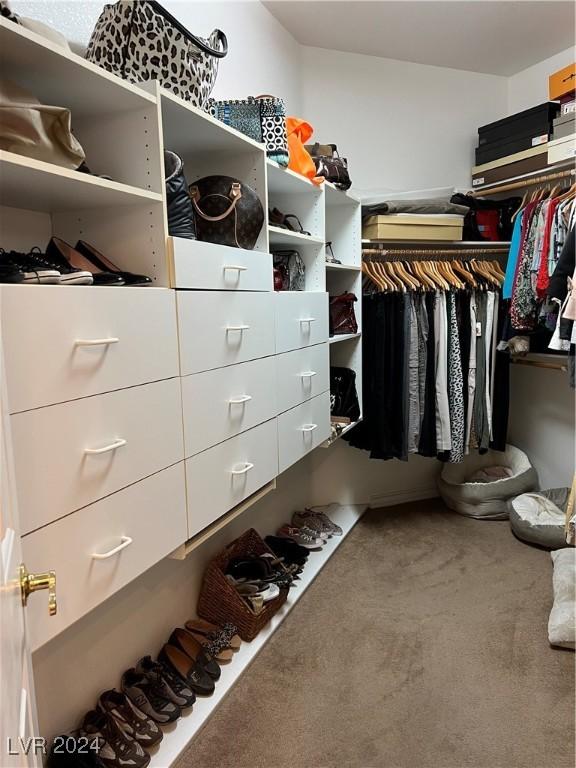 walk in closet featuring carpet floors