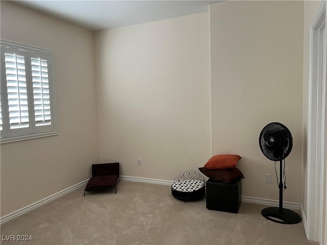 unfurnished room featuring light carpet