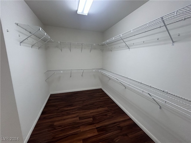 walk in closet featuring dark hardwood / wood-style floors