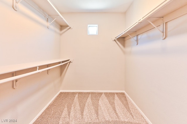 spacious closet with carpet floors