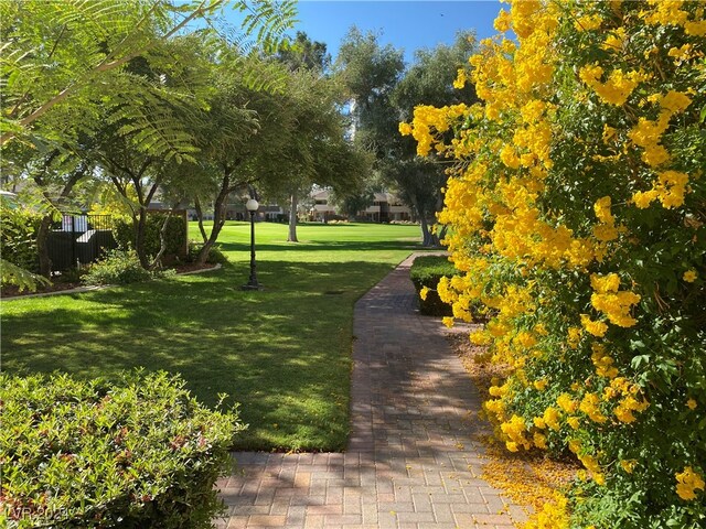 view of home's community with a yard