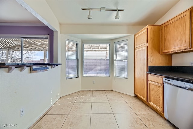 kitchen featuring dishwasher, light tile patterned floors, and rail lighting