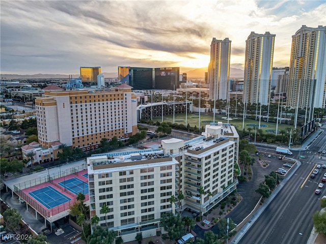 property's view of city