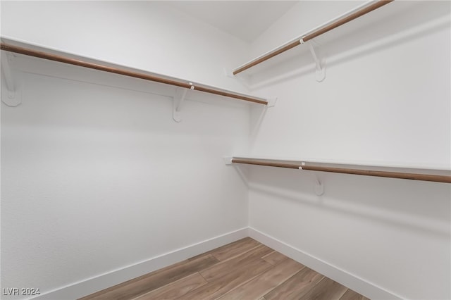 spacious closet featuring wood-type flooring