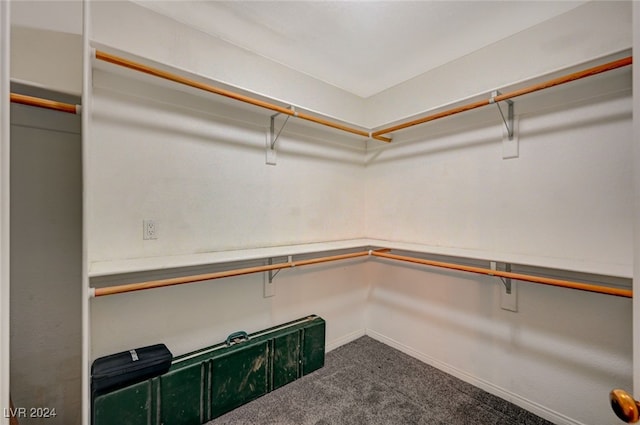 spacious closet featuring carpet flooring