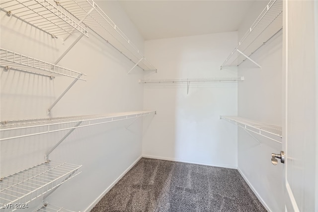 walk in closet with carpet