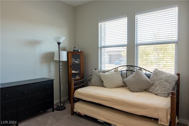 living area featuring carpet